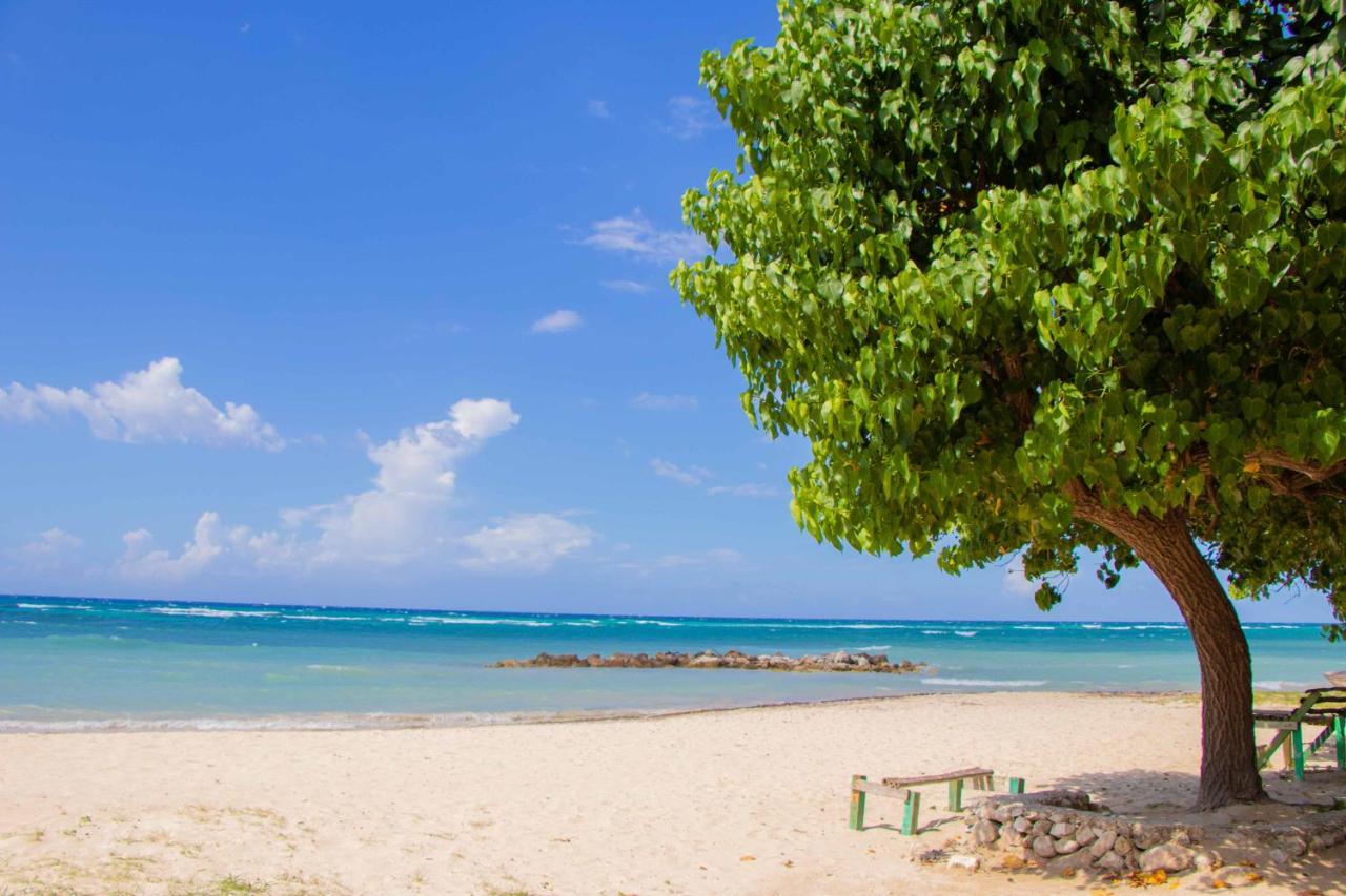 Beach Dreams At Seacastles Apartment Montego Bay Exterior photo